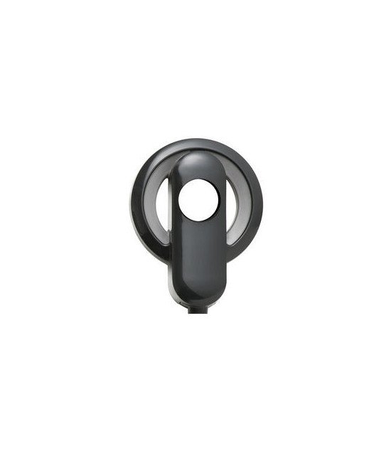 Nucleus 6 ritė